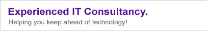 Experienced IT Consultancy