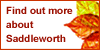Saddleworth.org